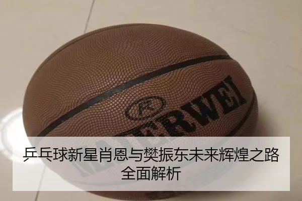 乒乓球新星肖恩与樊振东未来辉煌之路全面解析