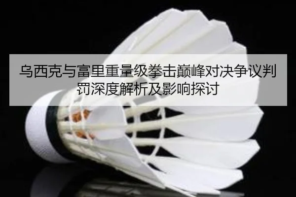 乌西克与富里重量级拳击巅峰对决争议判罚深度解析及影响探讨