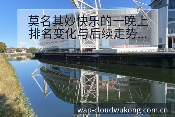 莫名其妙快乐的一晚上排名变化与后续走势项目格局深度解析 - 悟空体育官网